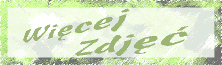 Duo wicej zdj